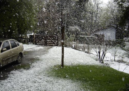 Está nevando en Bariloche a las 16 hs